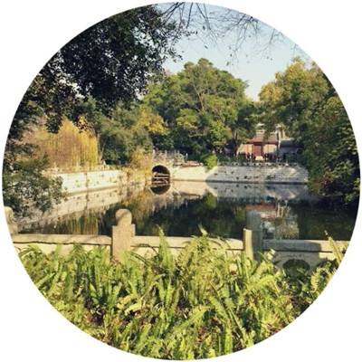 炫龙记手游qq登陆版下载